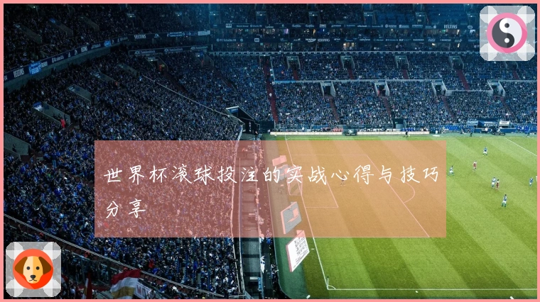 世界杯滚球投注的实战心得与技巧分享
