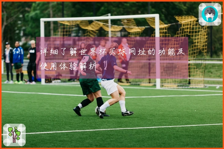 详细了解世界杯买球网址的功能及使用体验解析