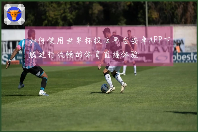 如何使用世界杯投注平台安卓APP下载进行流畅的体育直播体验