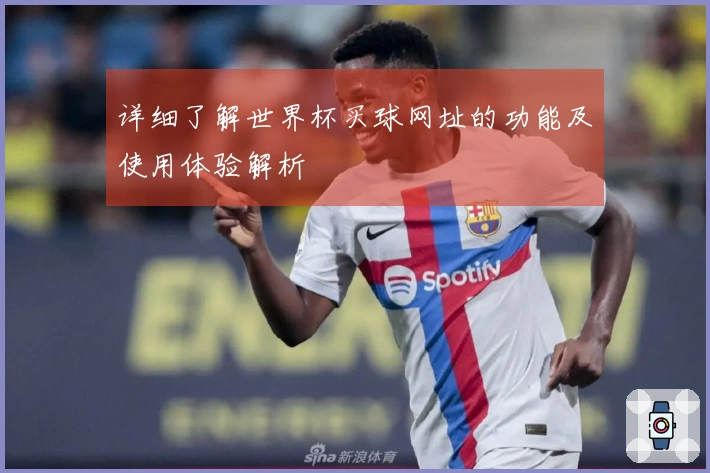 详细了解世界杯买球网址的功能及使用体验解析