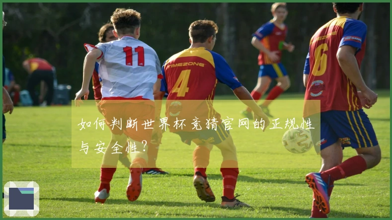如何判断世界杯竞猜官网的正规性与安全性?