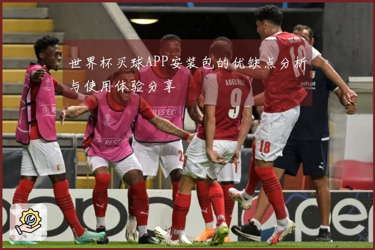 世界杯买球APP安装包的优缺点分析与使用体验分享