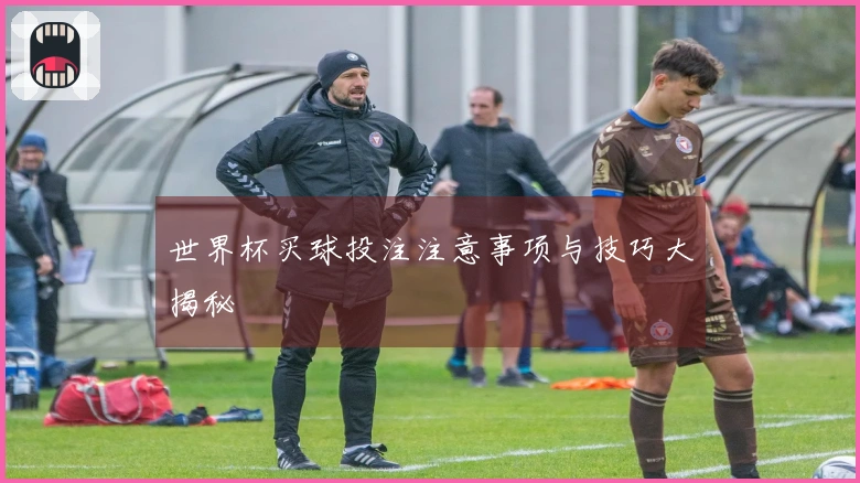 世界杯买球投注注意事项与技巧大揭秘