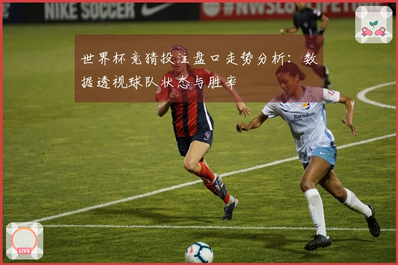 世界杯竞猜投注盘口走势分析：数据透视球队状态与胜率