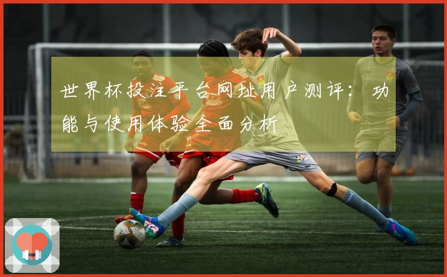 世界杯投注平台网址用户测评:功能与使用体验全面分析