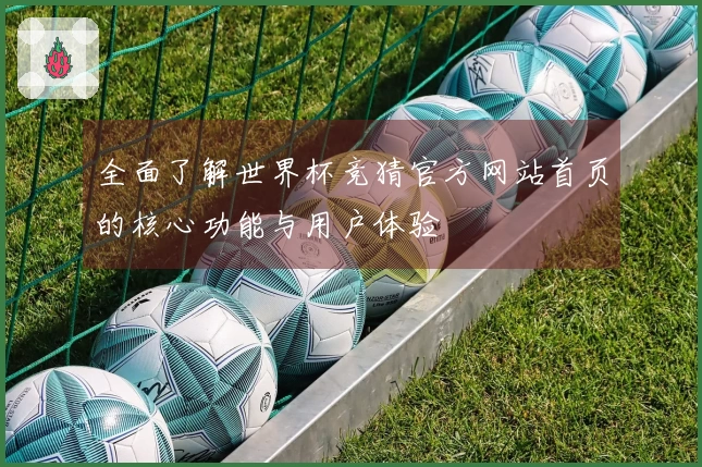 全面了解世界杯竞猜官方网站首页的核心功能与用户体验