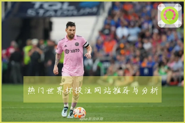 热门世界杯投注网站推荐与分析