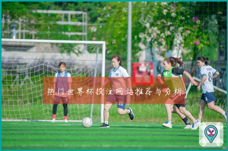 热门世界杯投注网站推荐与分析